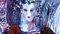 Free Toos van Holstein screensaver